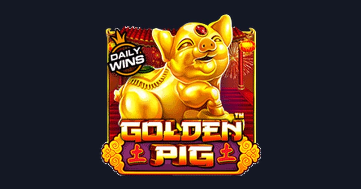 Tips Menang Buat Pemula Bermain Golden Pig Pragmatic Play